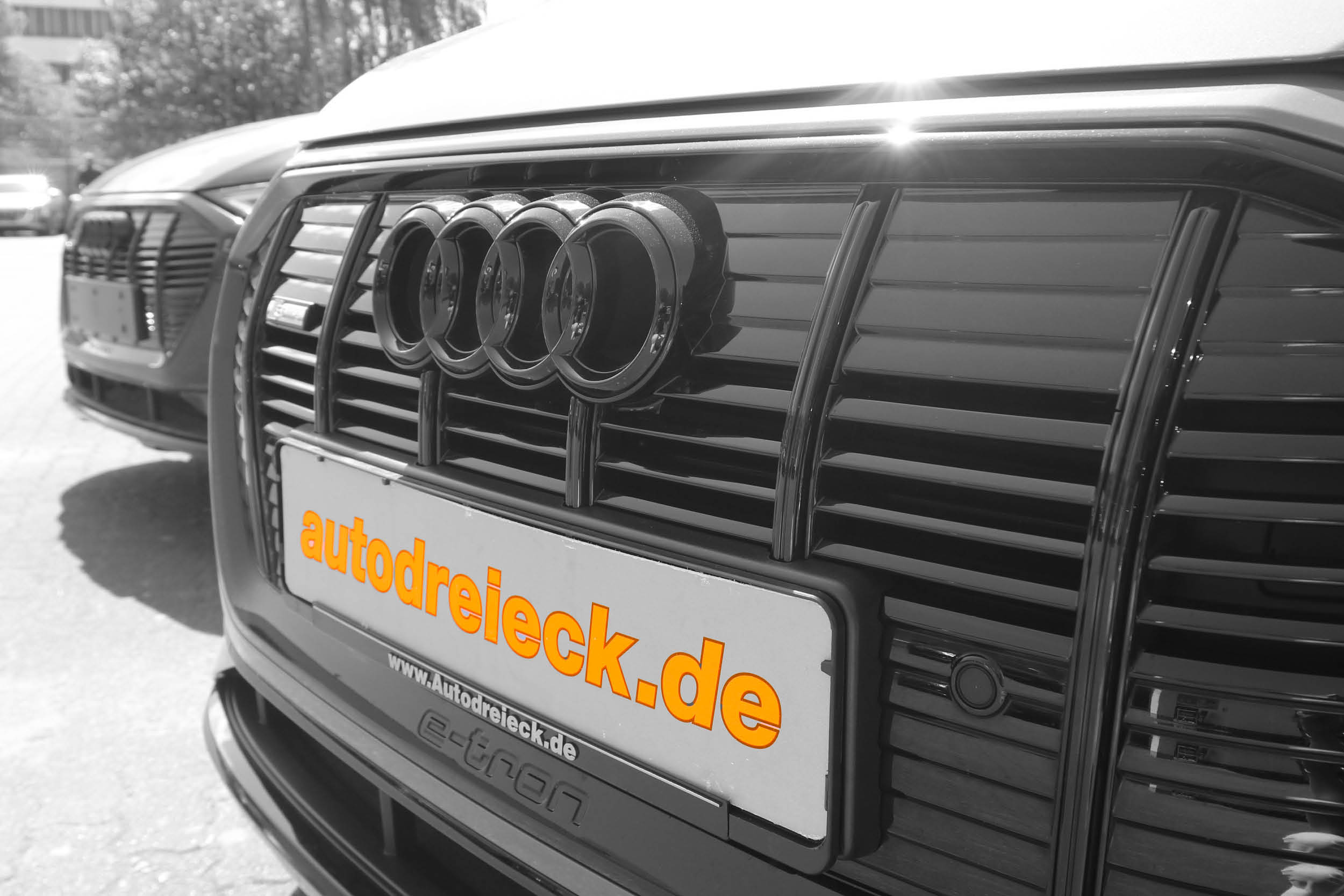 Audi E-tron mit Kennzeichen von Autodreieck